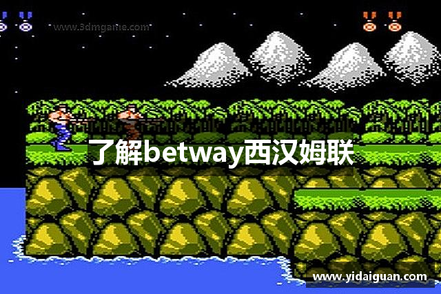 了解betway西汉姆联